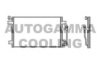 AUTOGAMMA 102796 Condenser, air conditioning